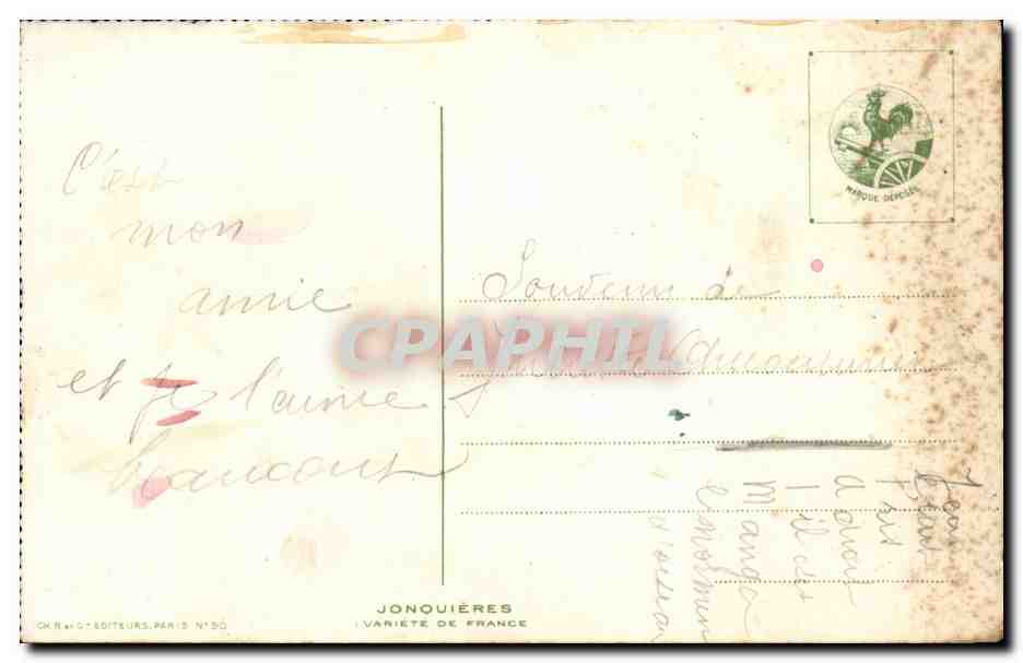CPA Fantaisie Fleurs Roses — Verso