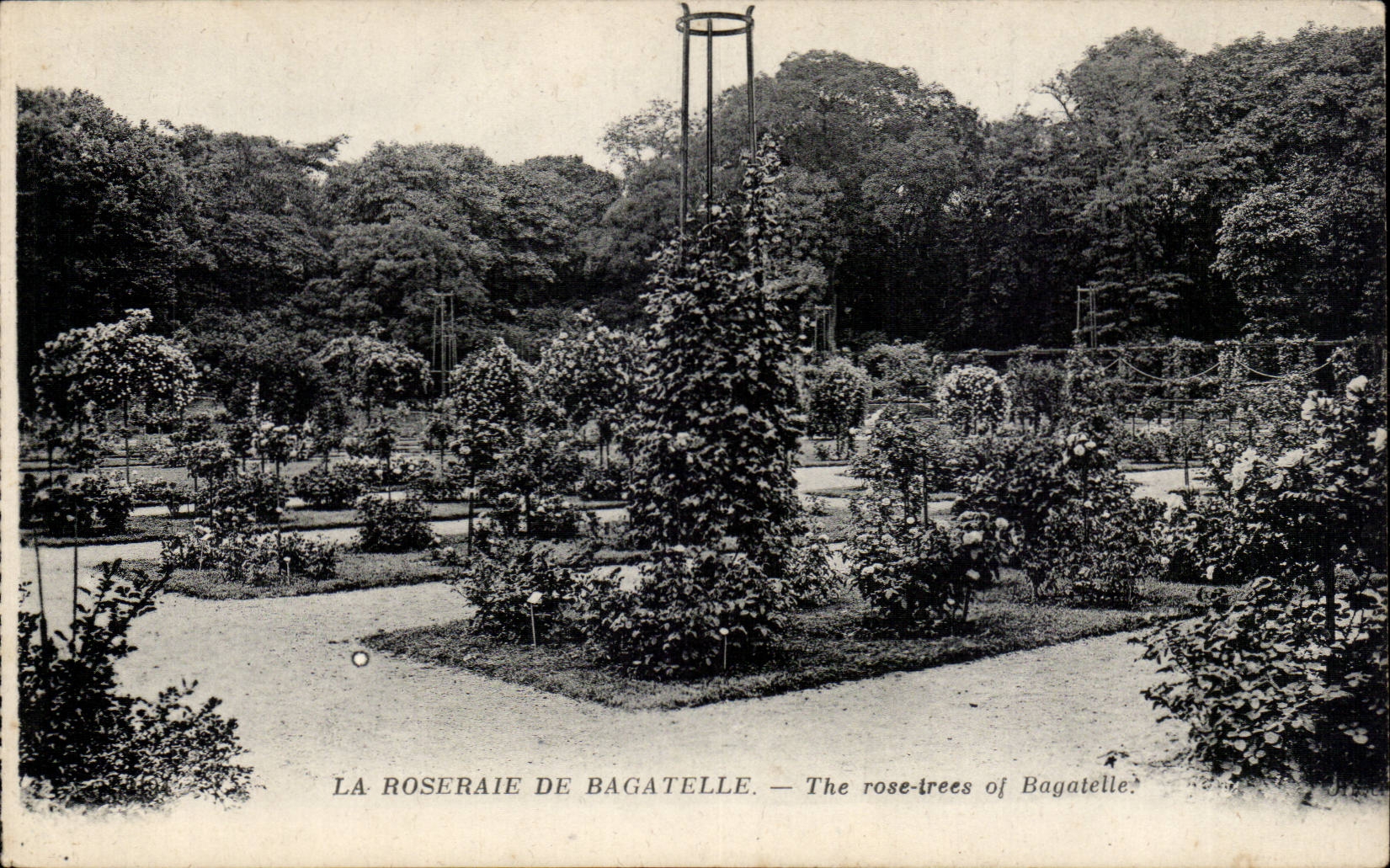 Paris CPA Roseraie de Bagatelle 