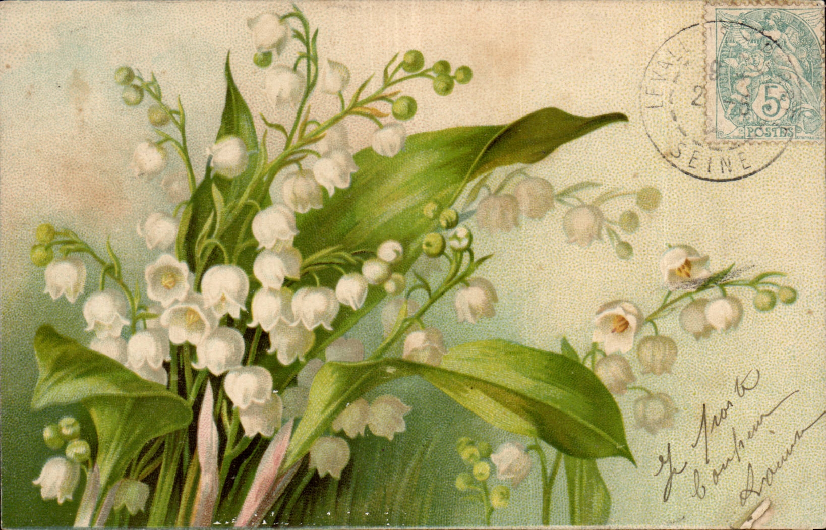 Lilies of the Valley — illustration botanique — éditeur non visible, n° de série non visible