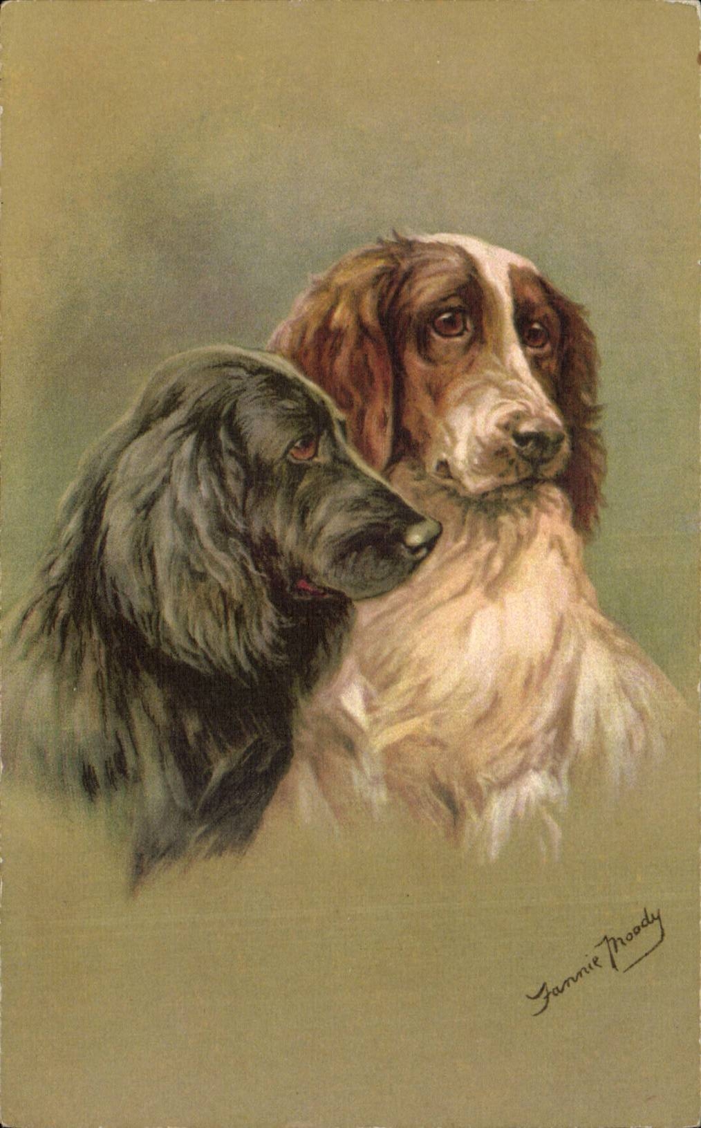 CPA Fantaisie Chiens Dog Dogs