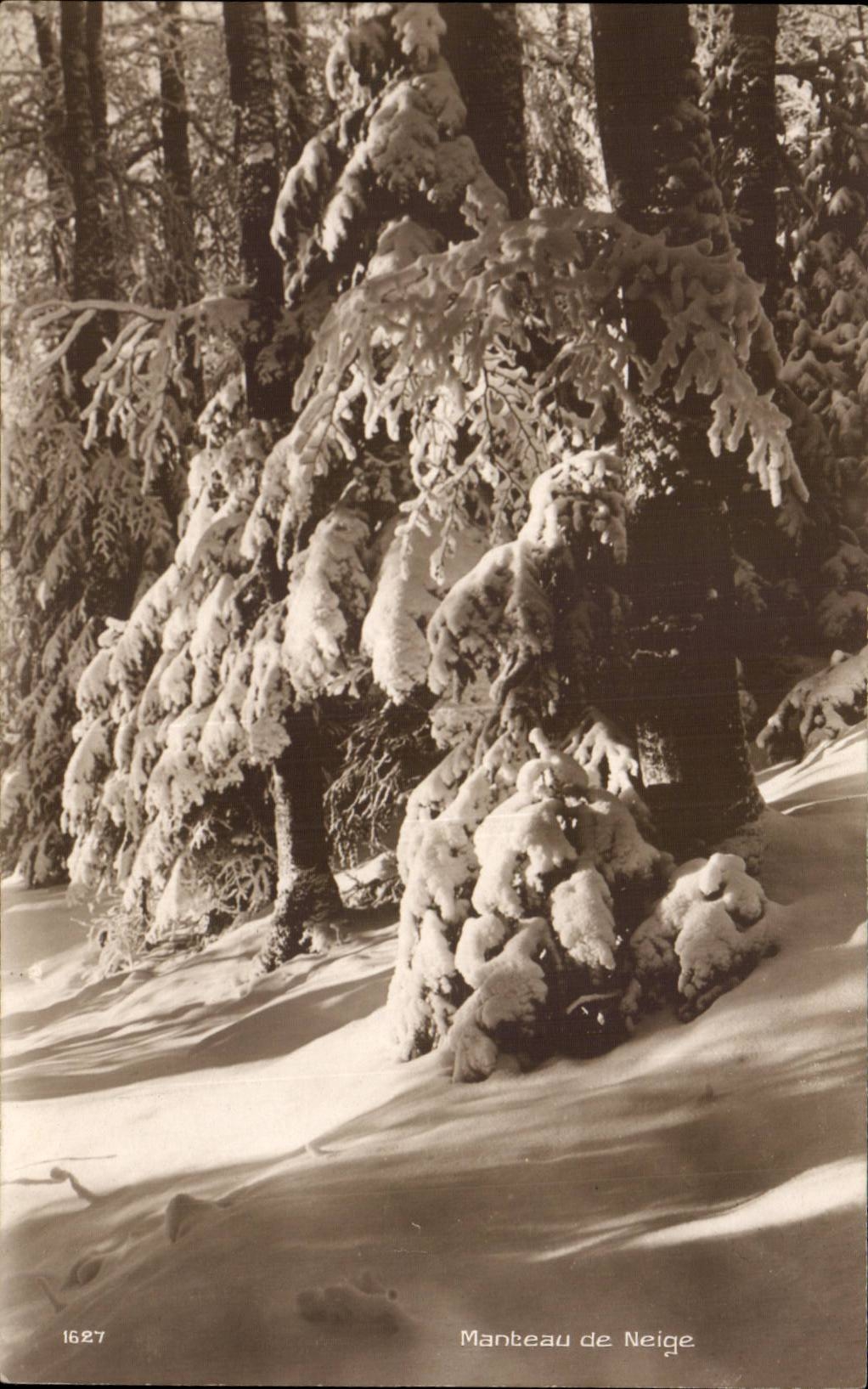 CPA Fantaisie Manteau de neige