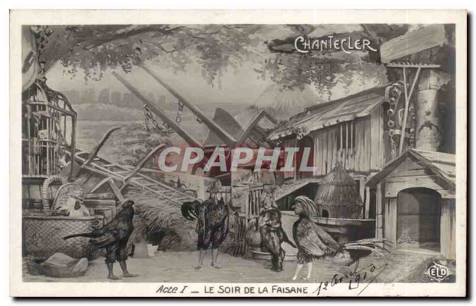 CPA Fantaisie Chantecler Acte 1 Le soir de la faisane Coq 
