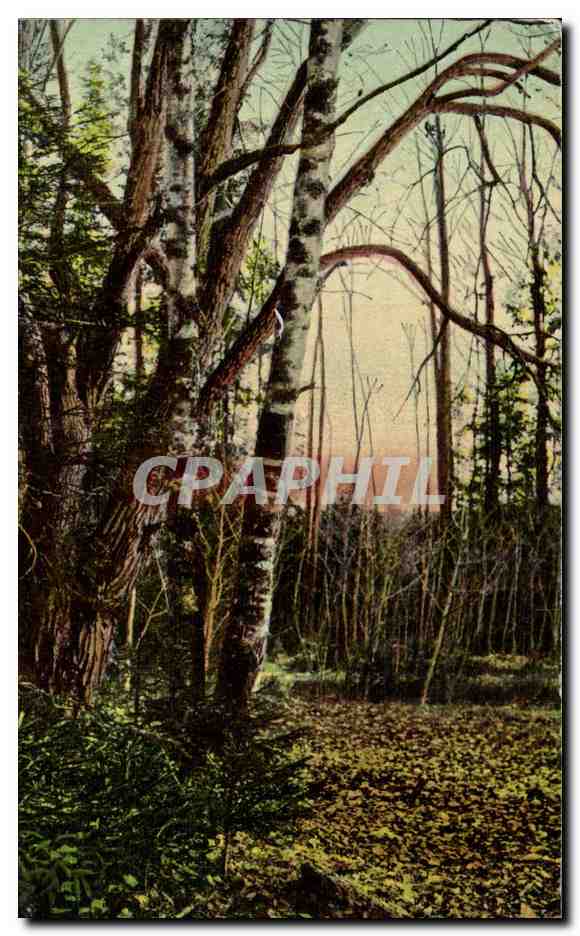 CPA Fantaisie paysage