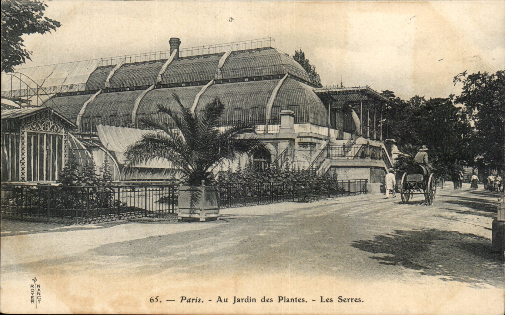 Paris CPA Jardin des plantes Les serres