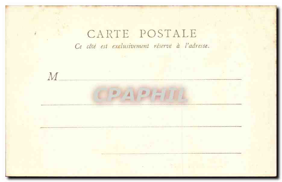 Paris CPA Cedres du jardin des plantes ( arbre tree ) — Rückseite