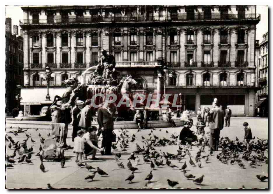 Les Pigeons de la place des Terreaux et la Fontaine Bartholdi — Lyon