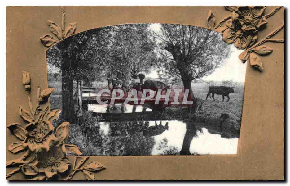 CPA Fantaisie Paturage Boeufs Vaches