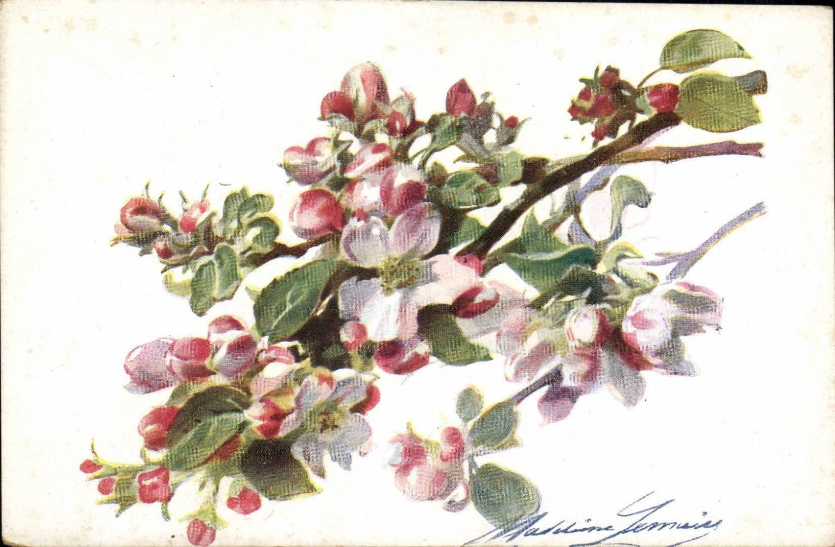 CPA Fantaisie Fleurs
