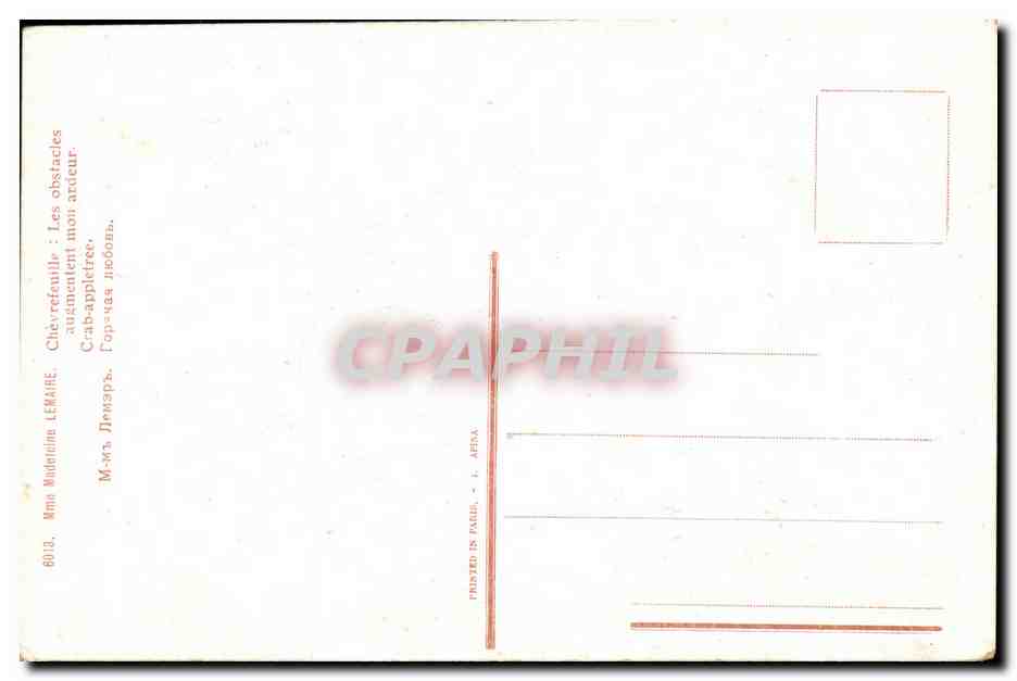 CPA Fantaisie Fleurs — Verso