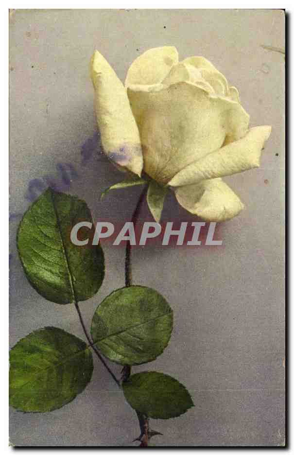 CPA Fantaisie Fleurs rose