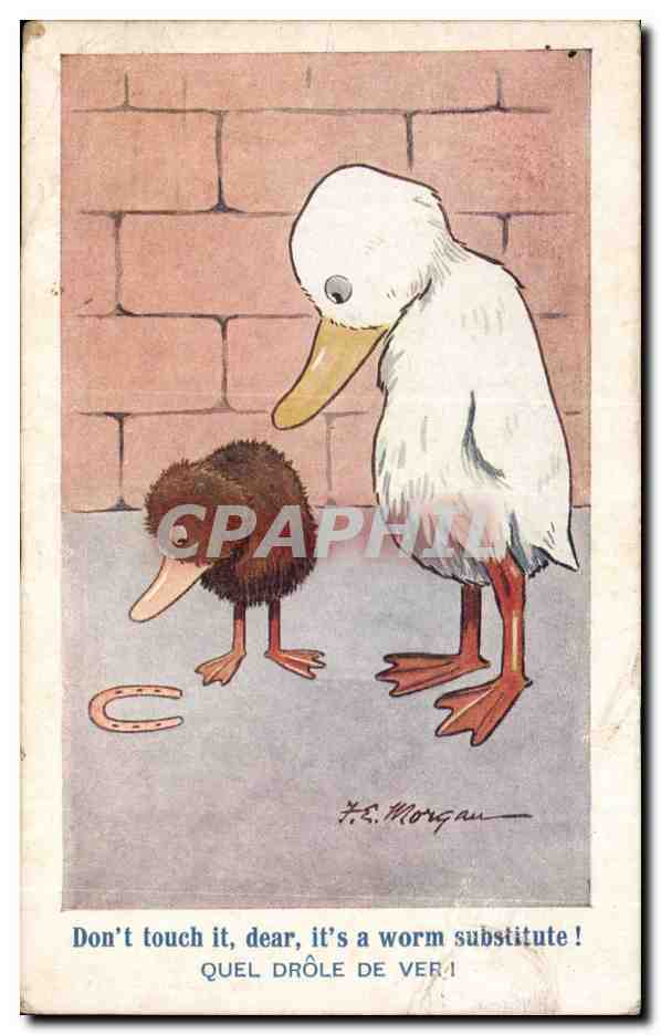 CPA Fantaisie Quel drole de ver Morgan Canard Duck