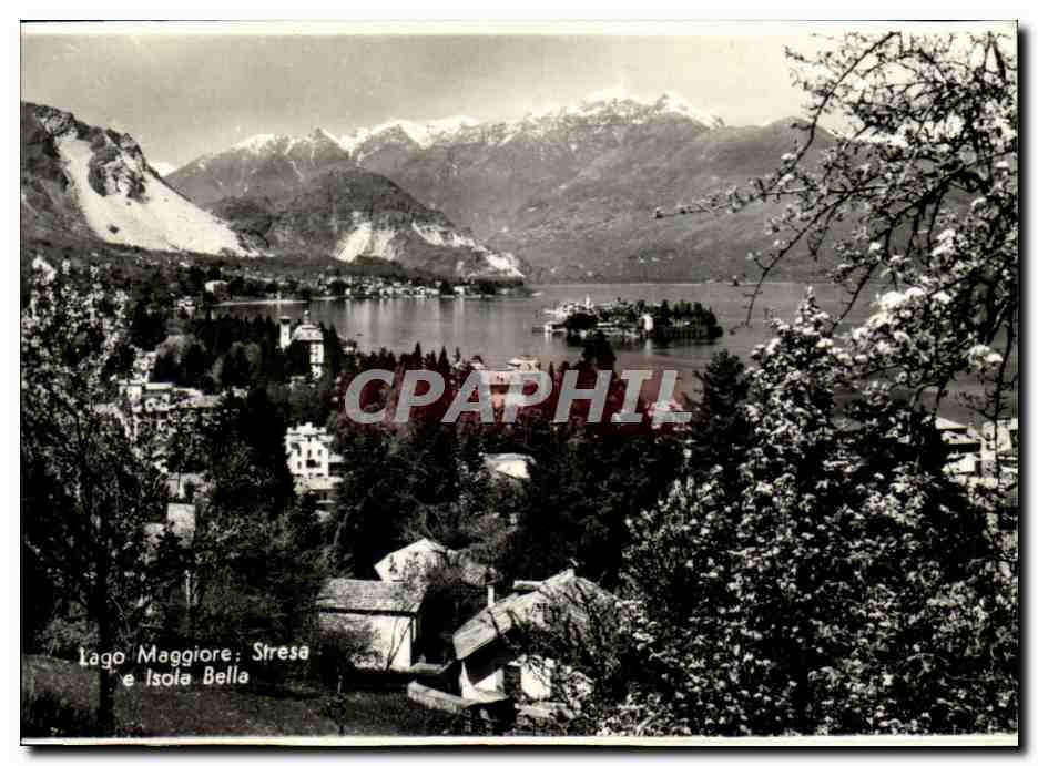 CPM Italie Italie Lago Maggiore Stresa e isola Bella