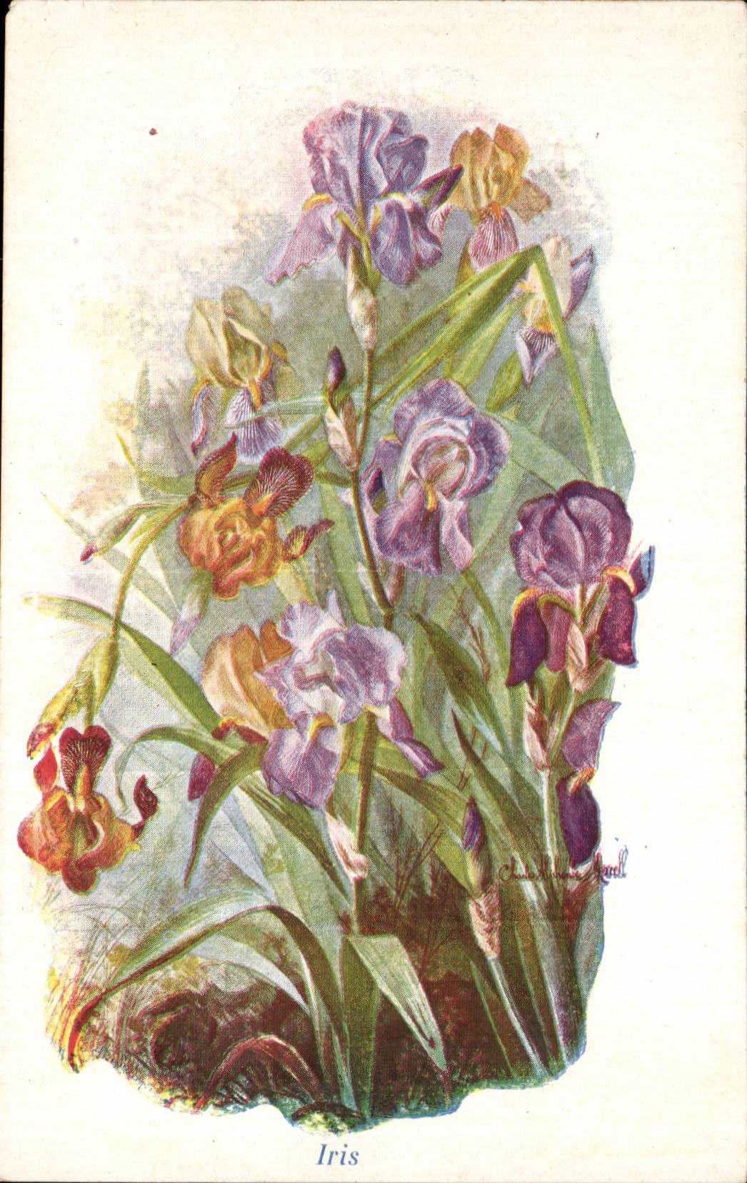 CPA Fantaisie Fleurs
