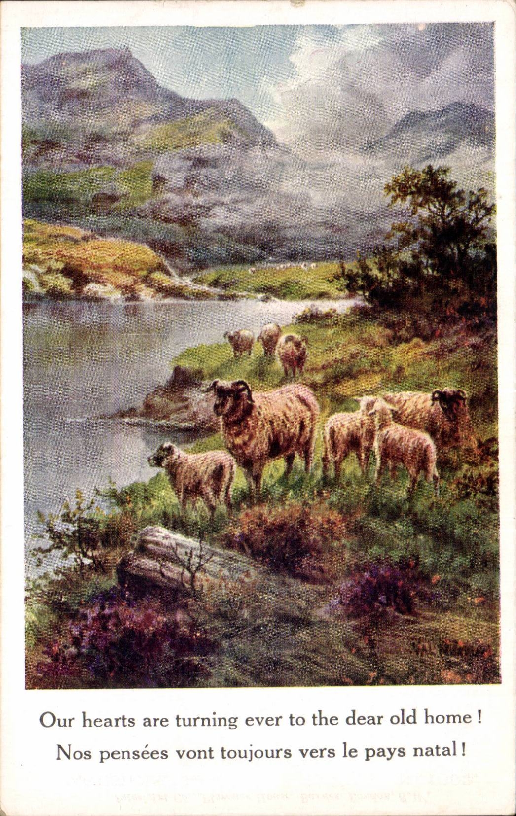 CPA Fantaisie Moutons sheep