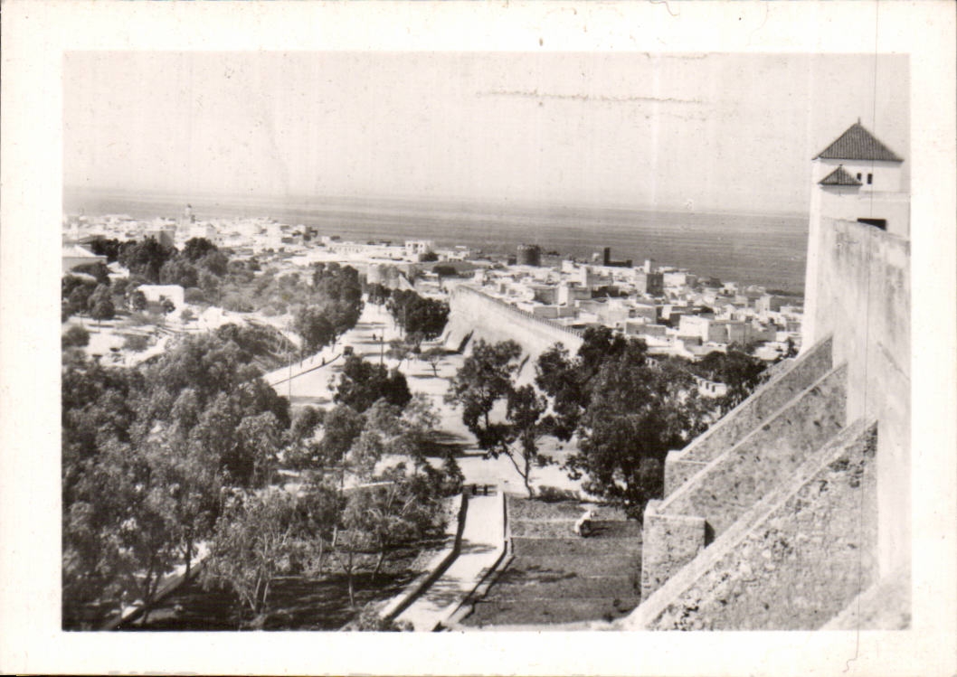 Maroc Safi CPM Vue generale boulevard Moulay Youssef