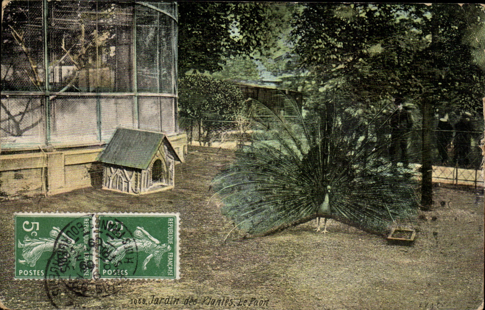 Paris CPA Jardin des plantes Le paon