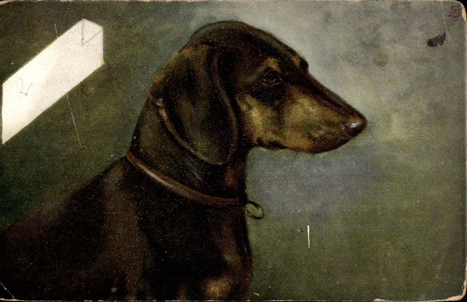 CPA Fantaisie Chien dog