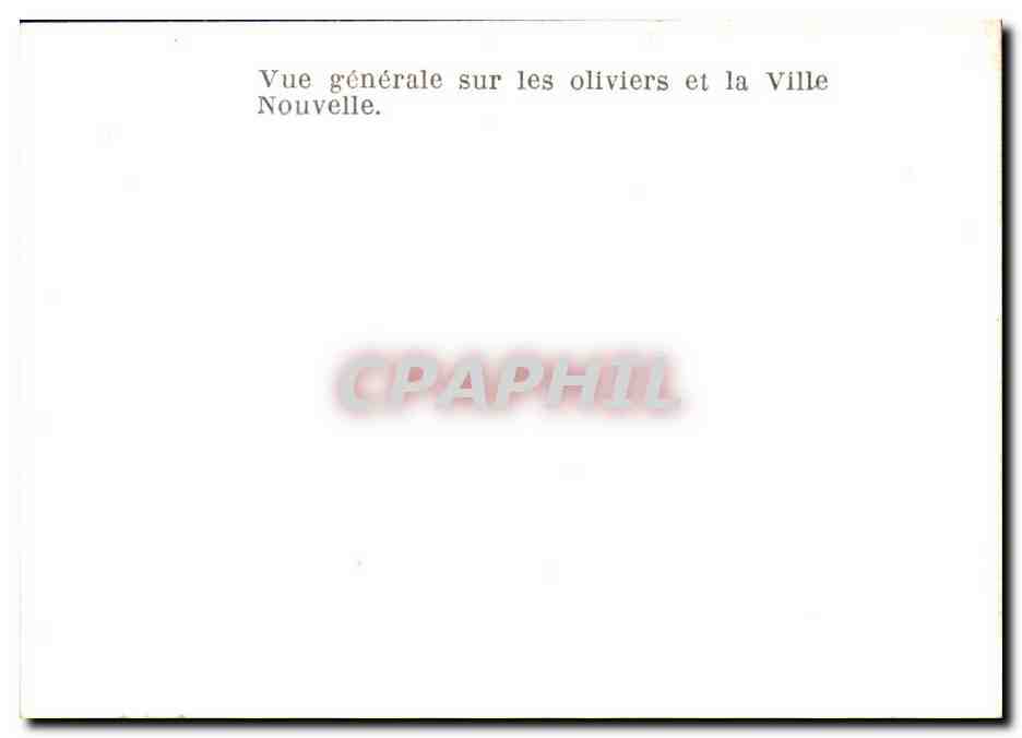 Maroc CPSM Taza Vue generale sur les oliviers et la ville nouvelle — Back