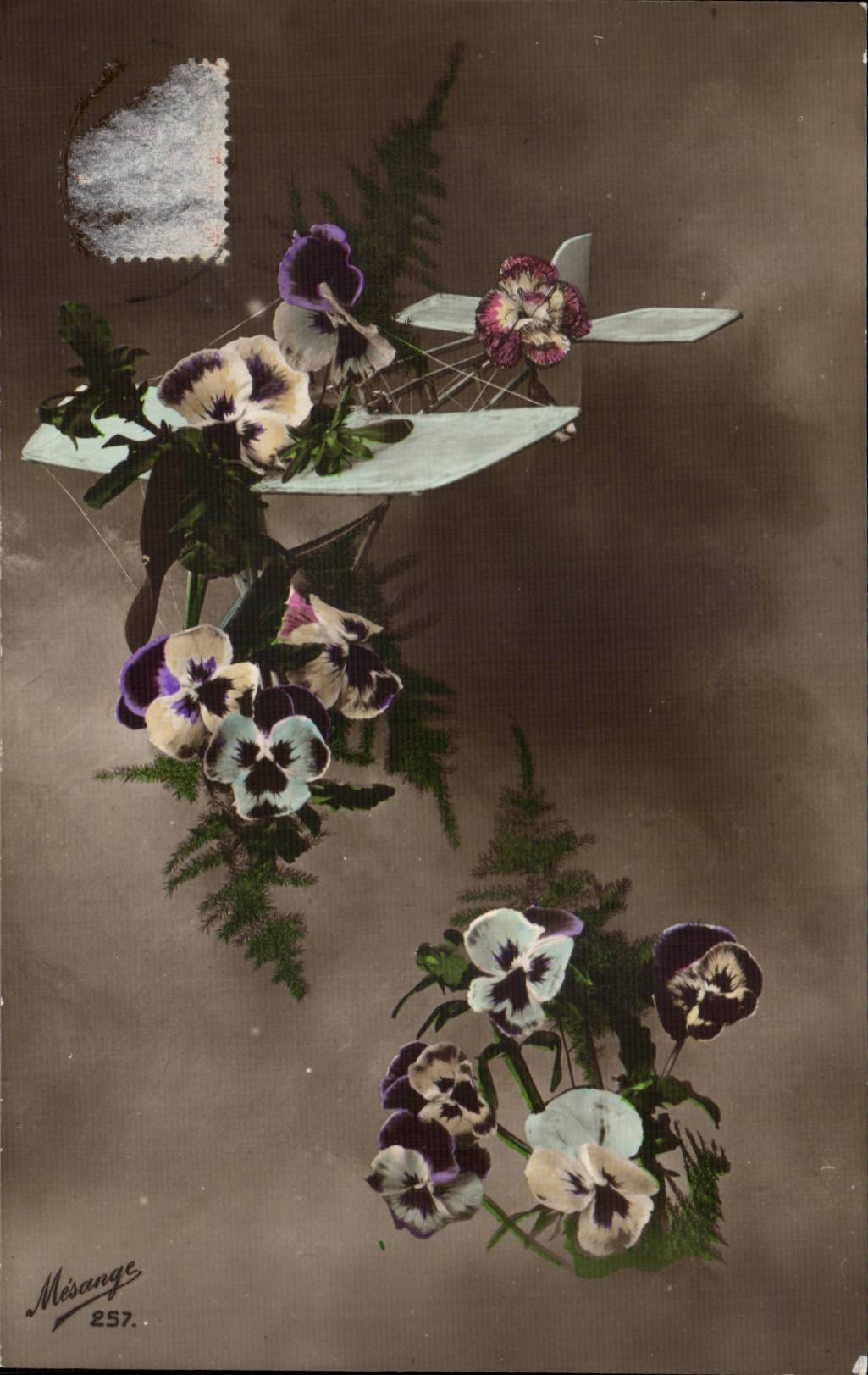 CPA Fantaisie Fleur Avion