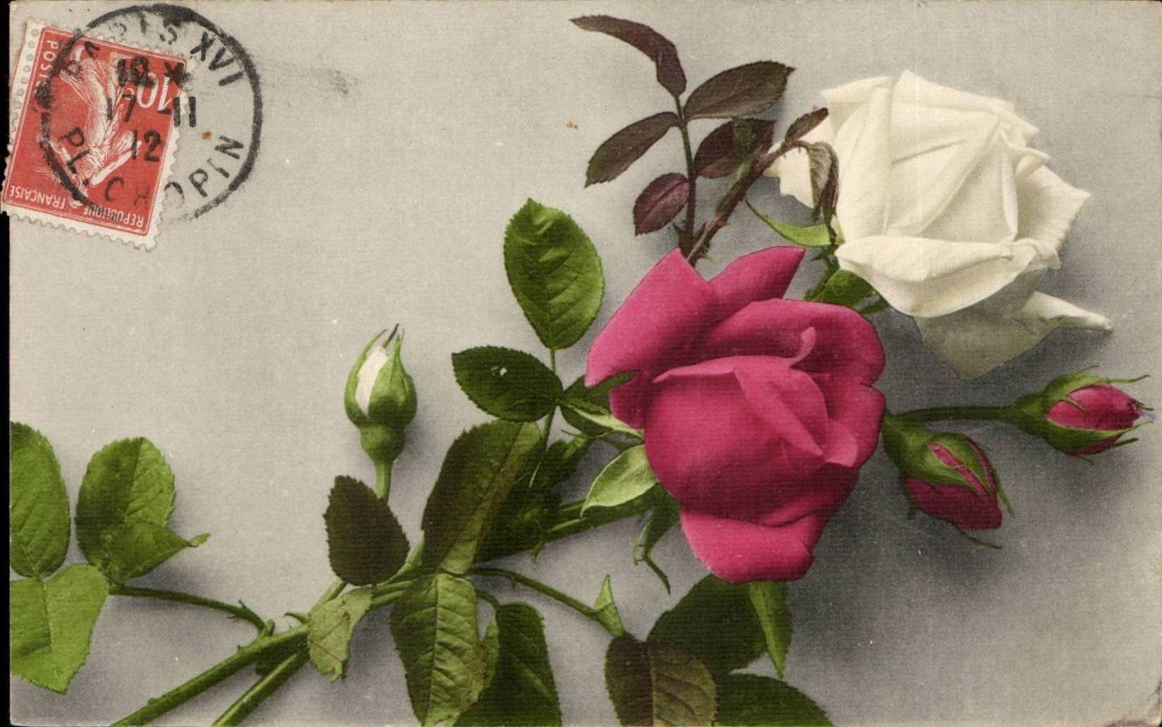 CPA Fantaisie Fleur Fleurs Rose