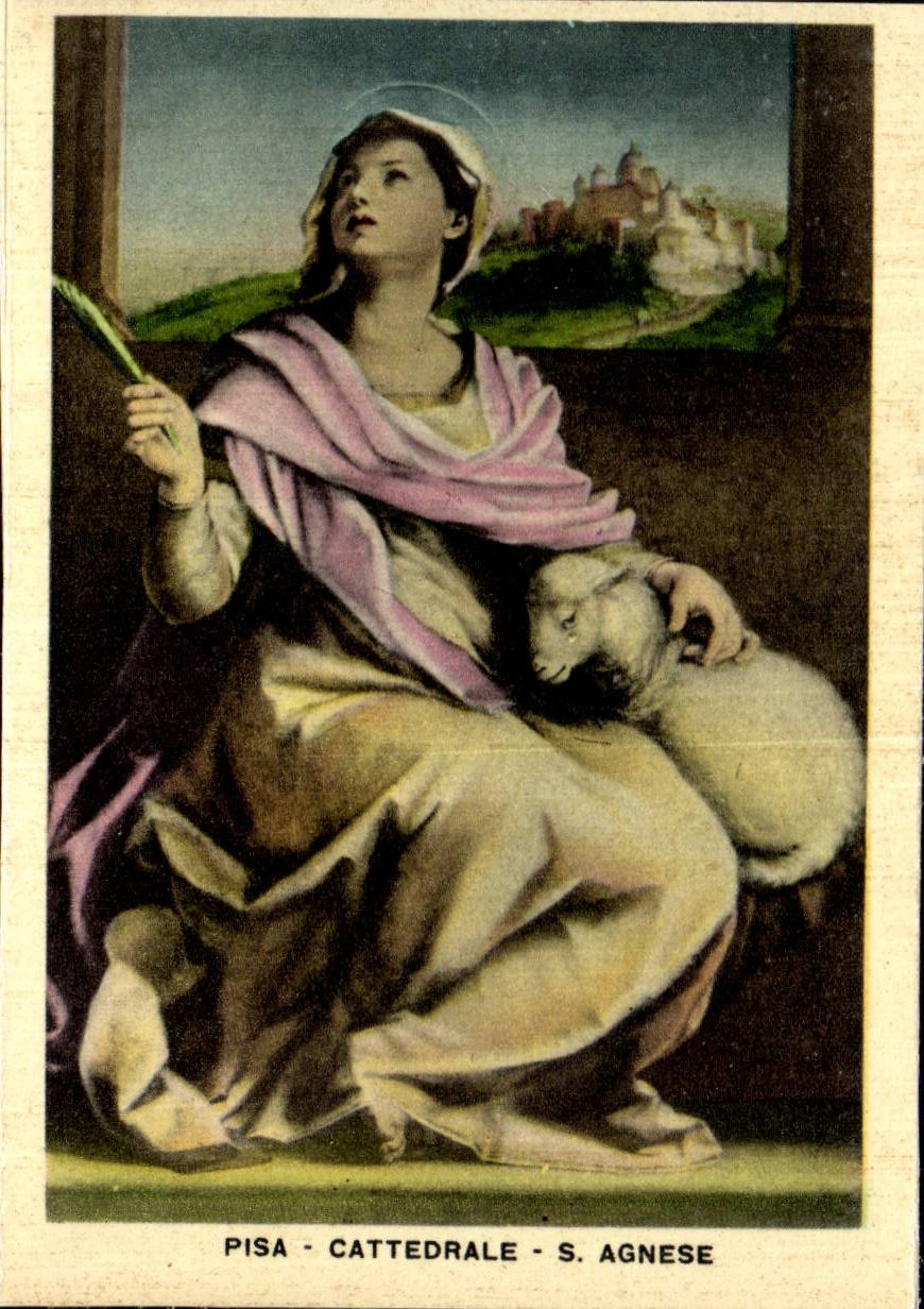 CPSM Italie Italia Pisa Cattedrale S agnese Mouton Sheep