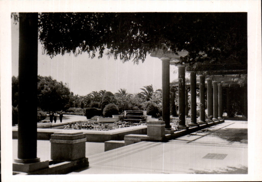 CPSM Maroc Mazagan Une Pergola du jardin Lyautey
