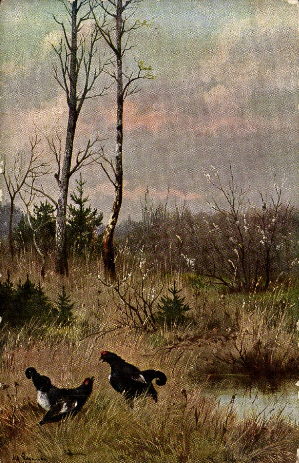 CPA Fantaisie Paysage Poules