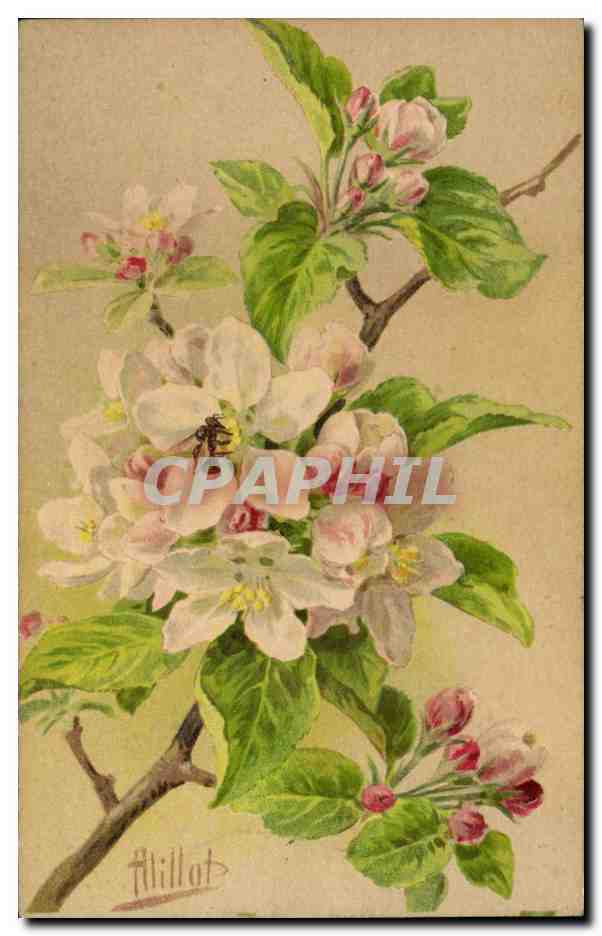 CPA Fantaisie Fleurs