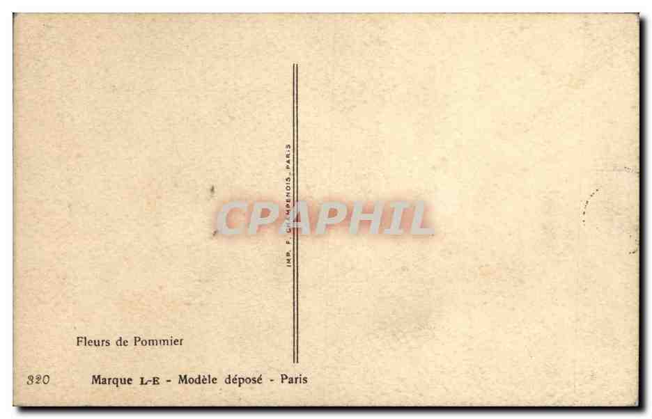 CPA Fantaisie Fleurs — Rückseite