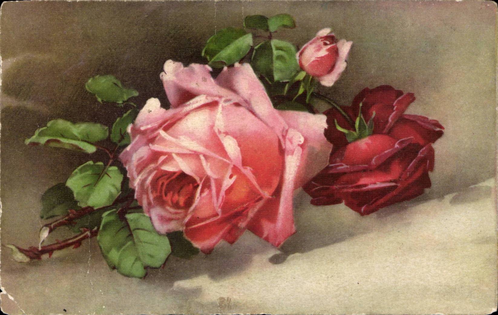 CPA Fantaisie Fleurs Rose
