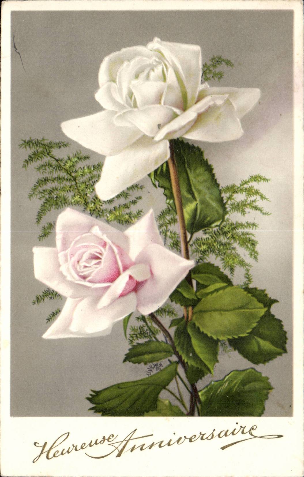 CPA Fantaisie Fleurs Rose
