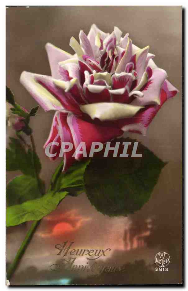 CPA Fantaisie fleur Rose