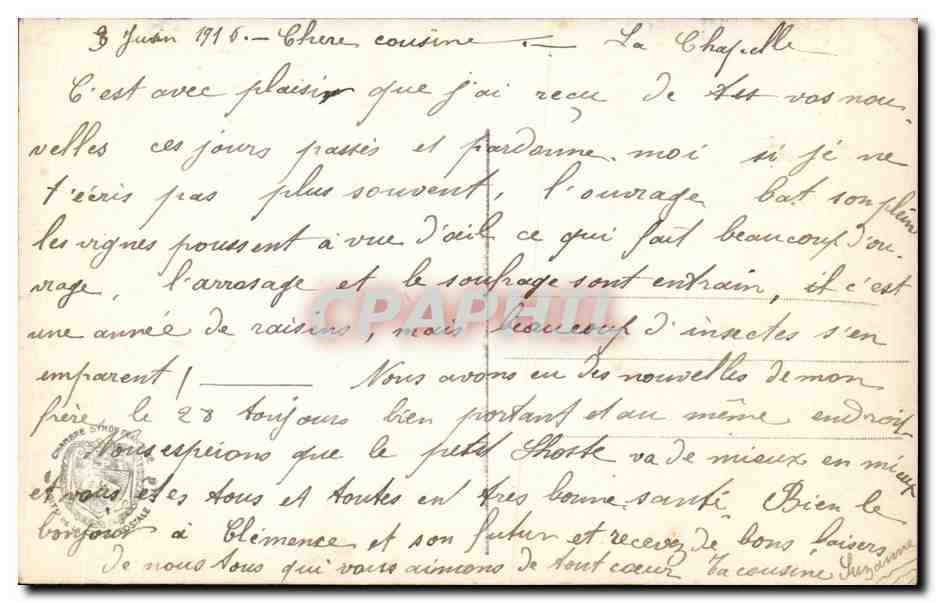CPA Fantaisie Fleur Rose Papillon Butterfly — Verso