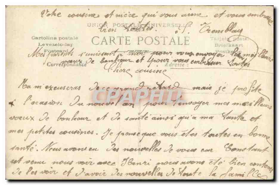 Femme en robe bleue tenant des roses — Bonne Année — éditeur R. 3696 — Verso