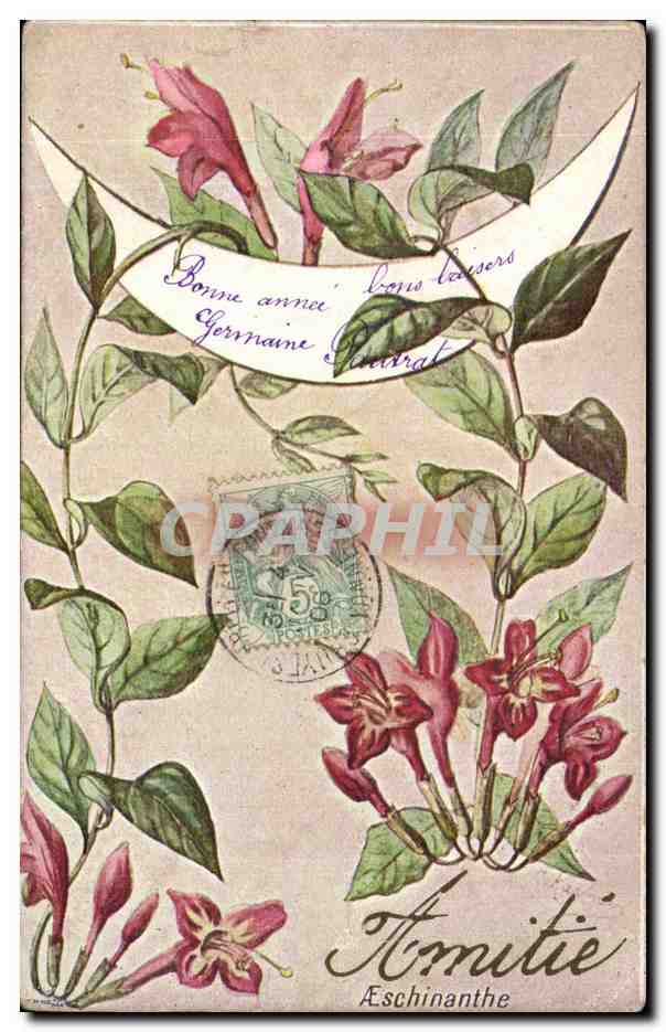 CPA Fantaisie Fleur Aeschinanthe Amitie
