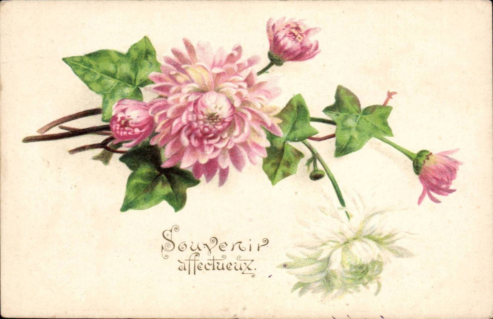 CPA FAntaisie Fleurs Souvenir affectueux