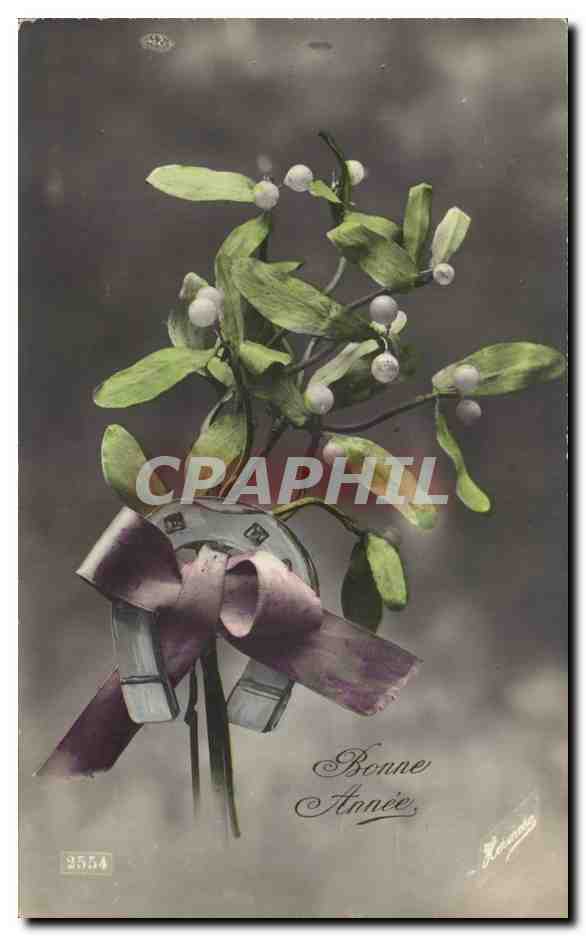 CPA Fantaisie fleurs Bonne Annee Gui