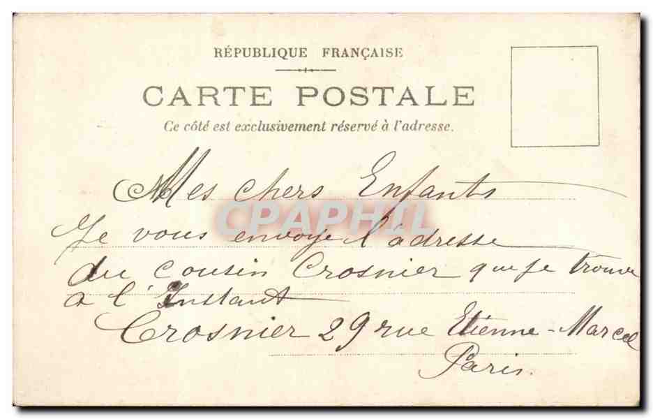 CPA Fantaisie Fleurs Narcisse Bonne annee — Rückseite