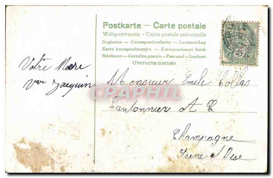 Bukett von Veilchen in einem Korb — gedruckter und handschriftlicher Text — Verlag Union postale universelle — Rückseite