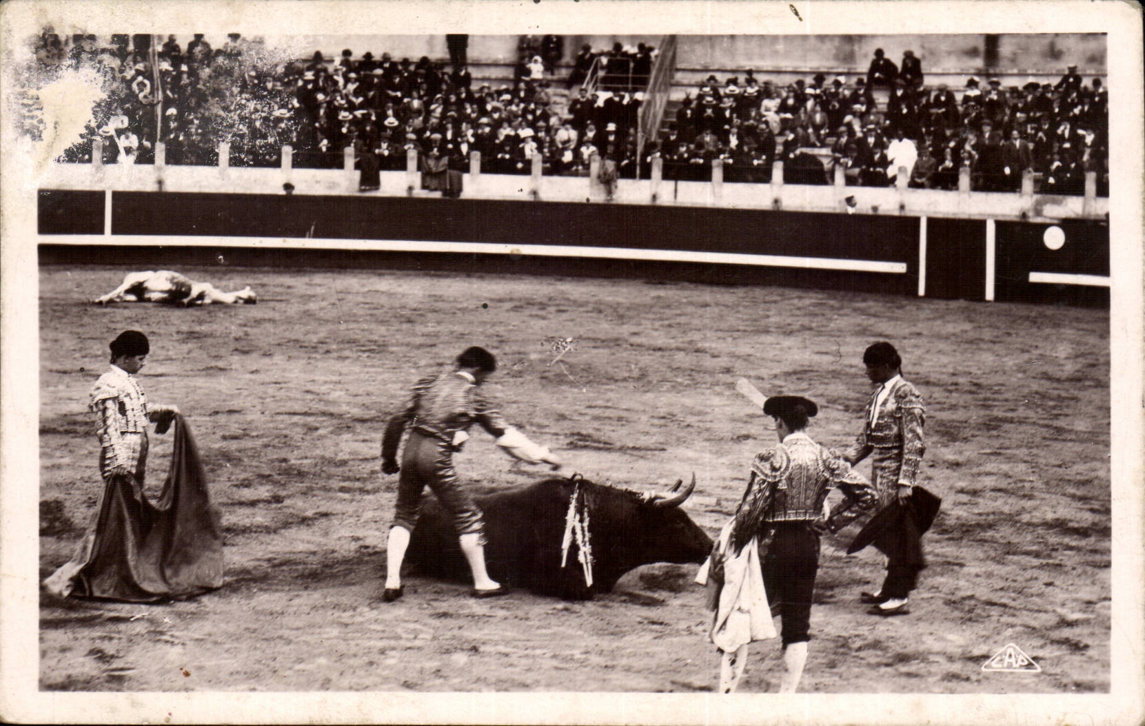 CPA Cours de taureaux Corrida Toro Le coup de grace