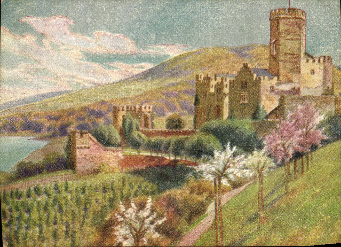 Schlossberg Schloss — pittoreske Ansicht mit Weinreben und Blumen — Verlag nicht sichtbar