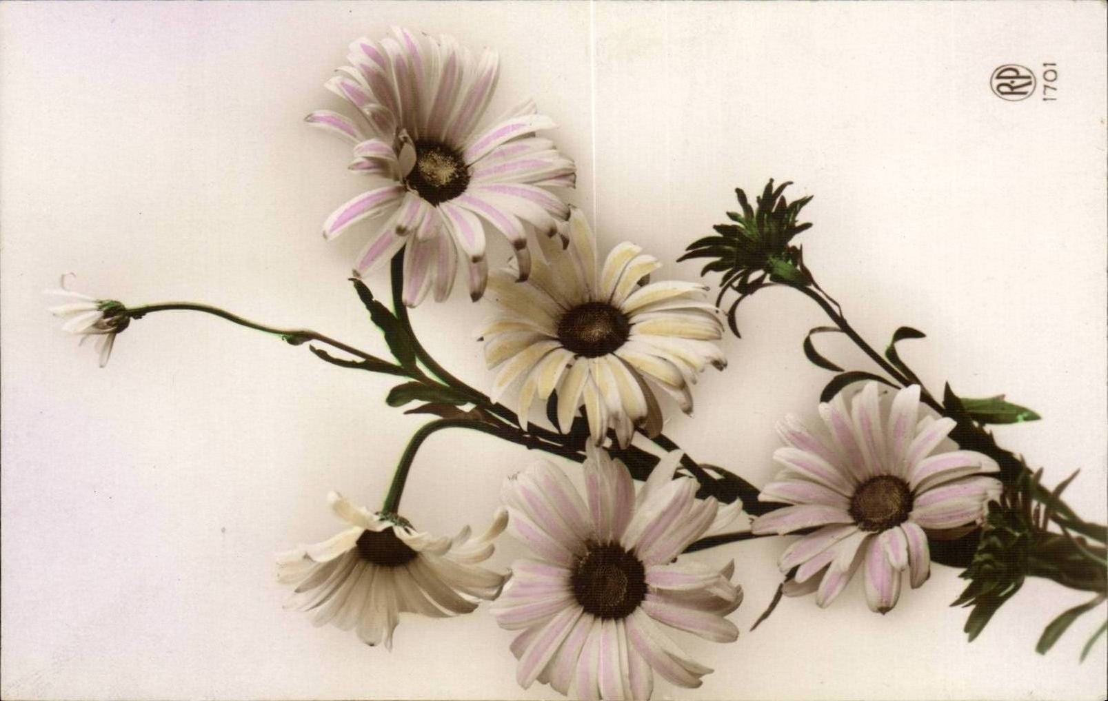 CPA Fantaisie Fleurs