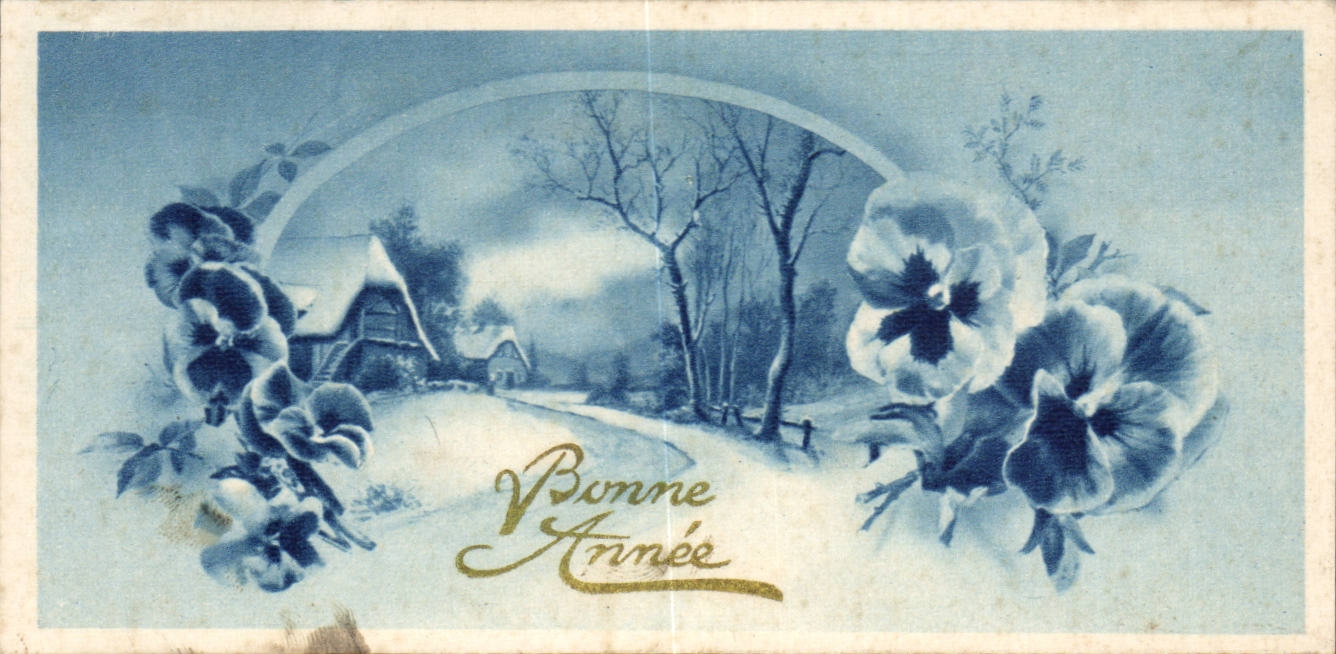 CPA Fantaisie Village Bonne annee