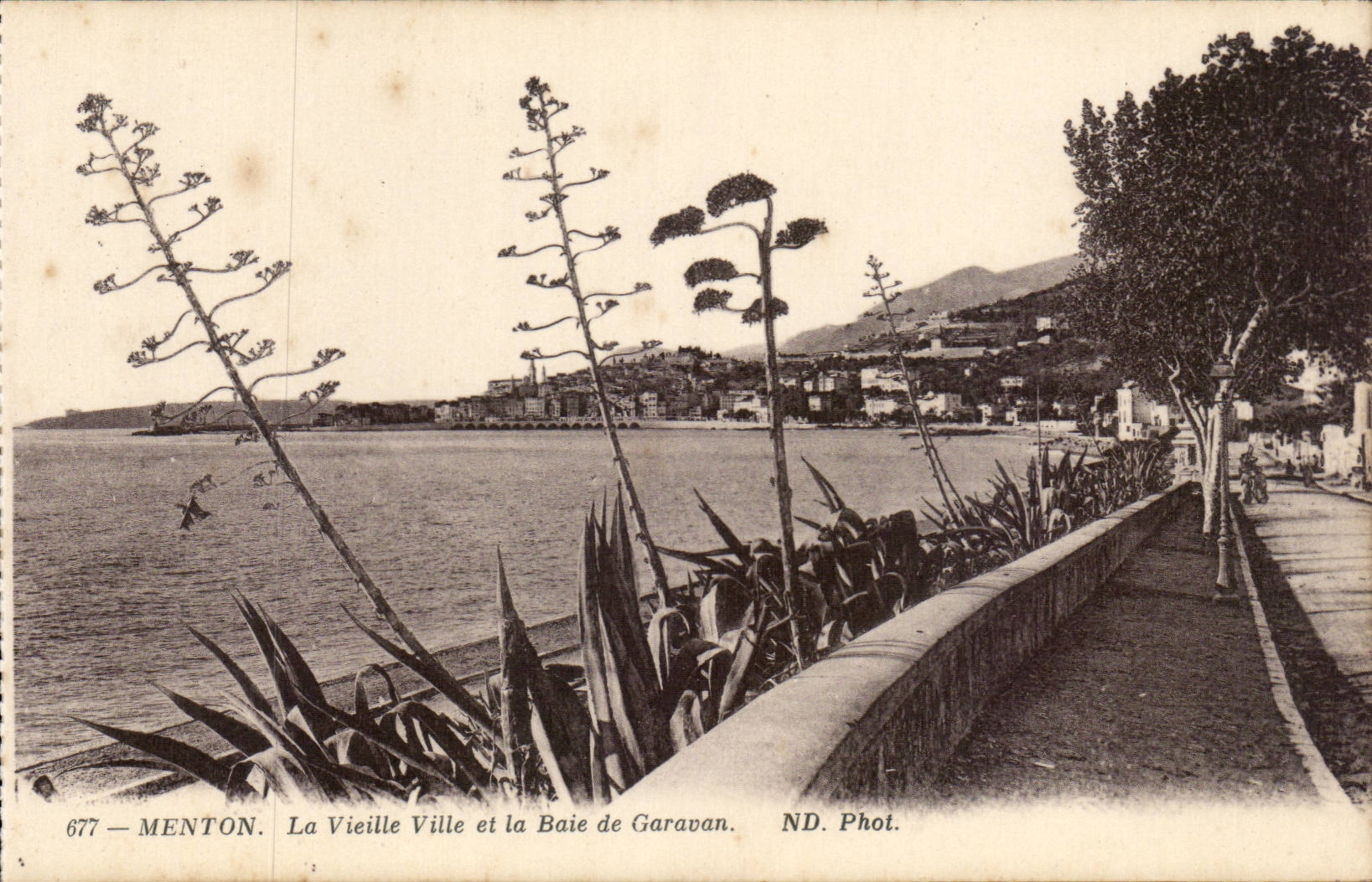 Menton CPA la vieille ville et la baie de Garavan