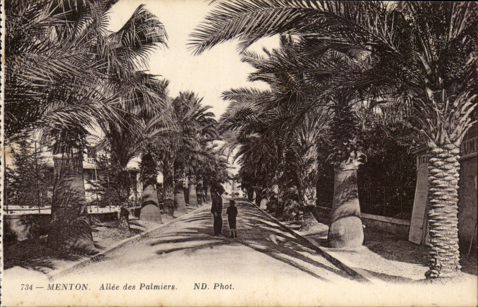 Menton CPA Allee des palmiers