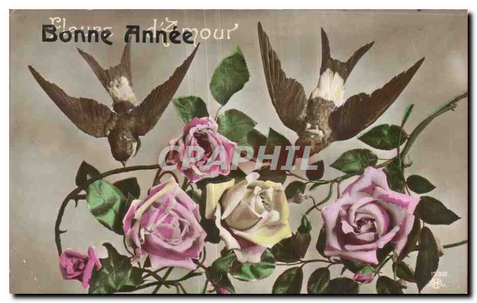 Fetes - Rose - Oiseaux - Flowers - Birds - Bonne Annee - CPA 