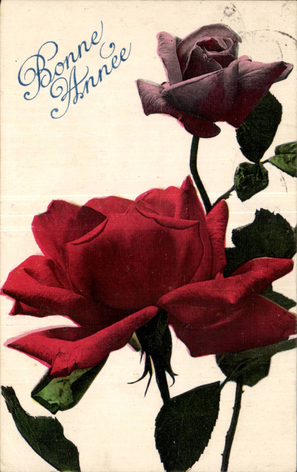Fetes - Fleurs - Flowers - Rose - Bonne Annee - CPA 