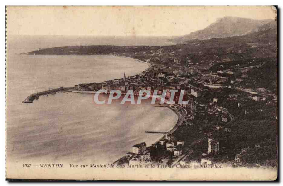 Menton - Vue sur Menton - Cap Martin et la Tete de Chien - CPA 