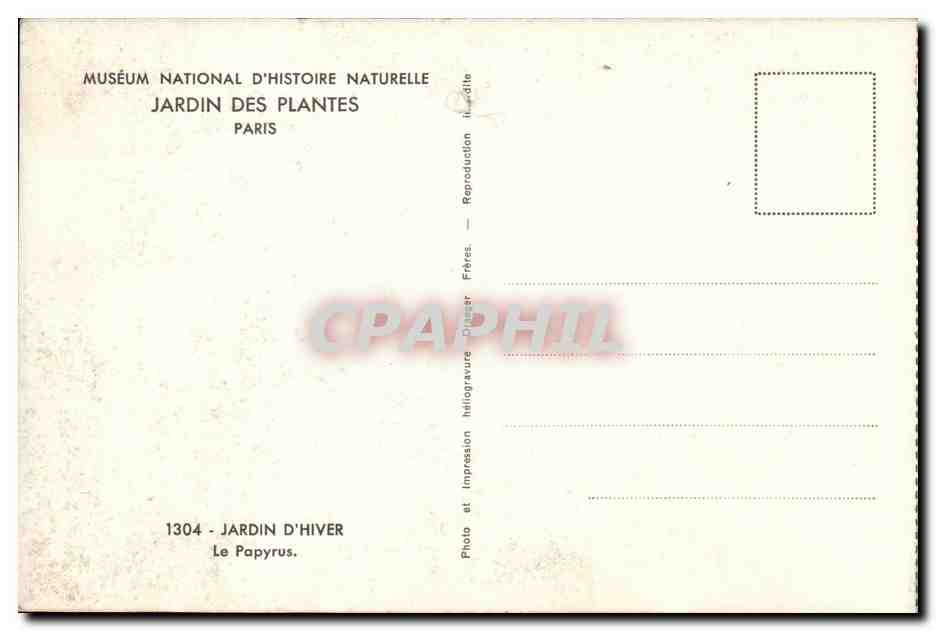 Jardin d'Hiver — Le Papyrus — Muséum national d'Histoire naturelle, Jardin des Plantes, Paris — Reverso