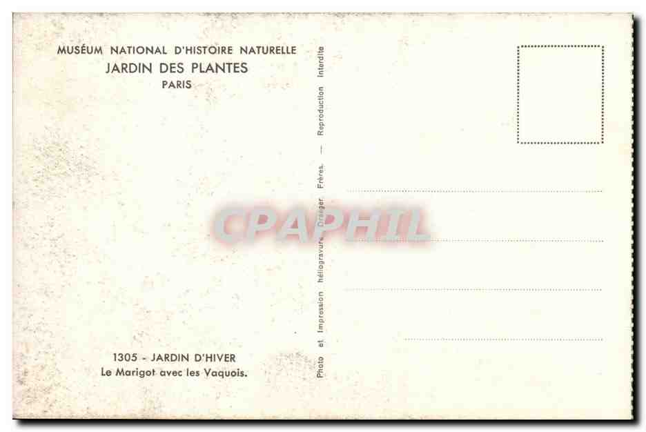 Jardin d'Hiver — Le Marigot avec les Vaquois — Muséum national d'Histoire naturelle, Paris — Reverso